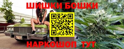гидропоника Камышлов