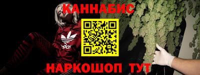 гидропоника Камышлов