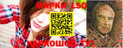 гидропоника Камышлов
