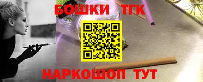 гидропоника Камышлов