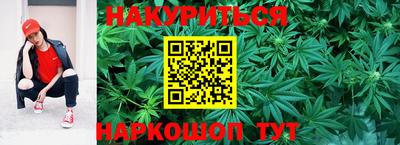 крисы Канаш