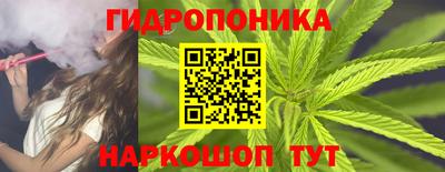 крисы Канаш