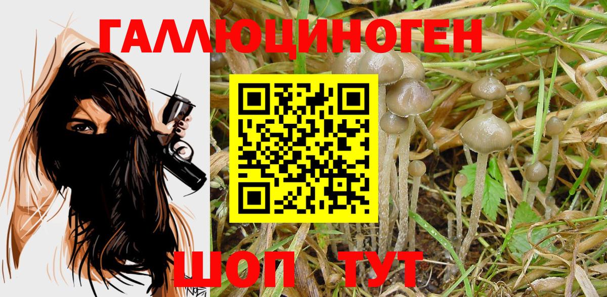 Морозовск  купить  сайты  Галлюциногенные грибы прущие грибы  Вход с VPN  Галлюциногенные грибы GOLDEN TEACHER 